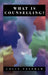 What Is Counselling?: The Promise and Problem of the Talking Therapies by Colin Feltham