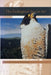 The Endangered Species ACT by Stanford Environmental Law Society