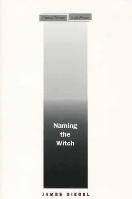 Naming the Witch by James Siegel