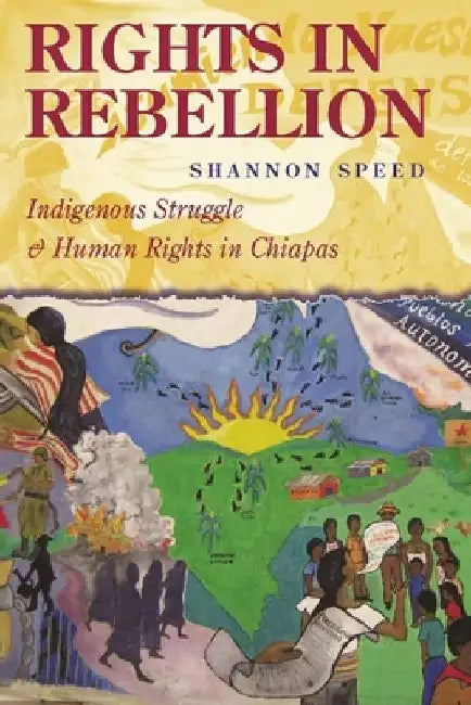 Rights in Rebellion: Indigenous Struggle and Human Rights in Chiapas by Shannon Speed