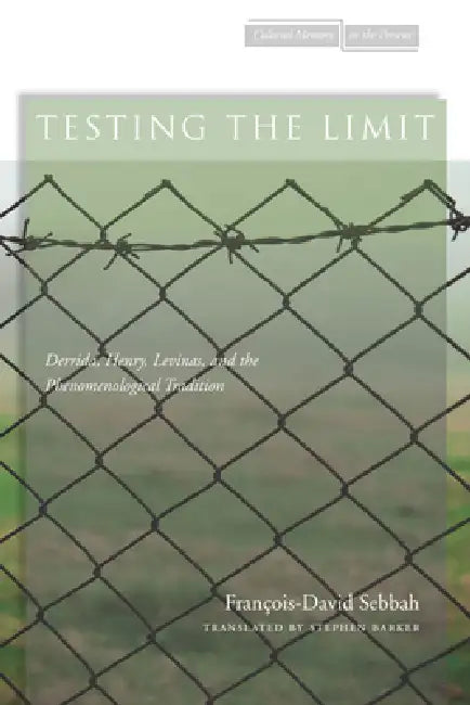 Testing the Limit: Derrida, Henry, Levinas, and the Phenomenological Tradition by François-David Sebbah, Stephen Barker