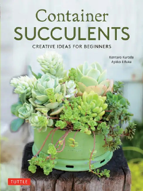 Container Succulents: Creative Ideas for Easy-To-Maintain and Long-Lasting Arrangements by Kentaro Kuroda