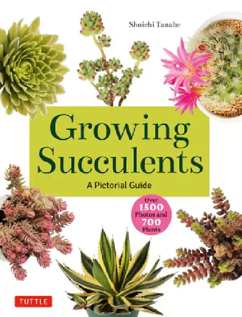 Growing Succulents: A Pictorial Guide to Planting and Design (Over 1,000 Photos and 700 Plants) by Tanabe Shoichi