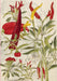 Chilies & Spinach Hardcover Journal: Blank Notebook: With Ribbon Bookmark by Tuttle Studio