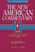 Hebrews: An Exegetical and Theological Exposition of Holy Scripture Volume 35 by David L. Allen
