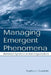 Managing Emergent Phenomena: Nonlinear Dynamics in Work Organizations by Stephen J. Guastello