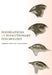Foundations of Evolutionary Psychology by Charles Crawford