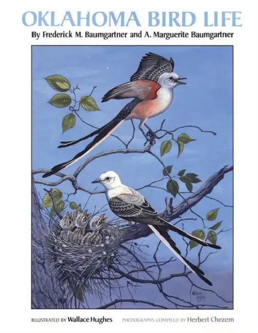 Oklahoma Bird Life by Frederick M. Baumgartner, A. Marguerite Baumgartner