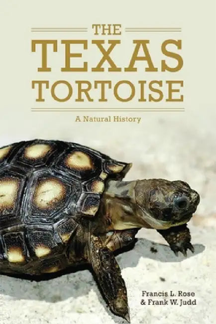 The Texas Tortoise: A Natural Historyvolume 13 by Francis L. Rose, Frank W. Judd