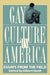 Gay Culture in America: Essays from the Field by Gilbert Herdt