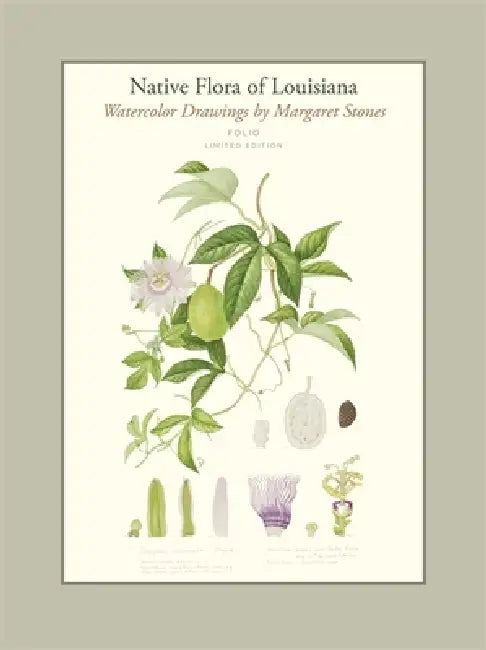 Native Flora of Louisiana by Margaret Stones