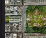 Above New Orleans: Roofscapes of the Crescent City by Richard Campanella