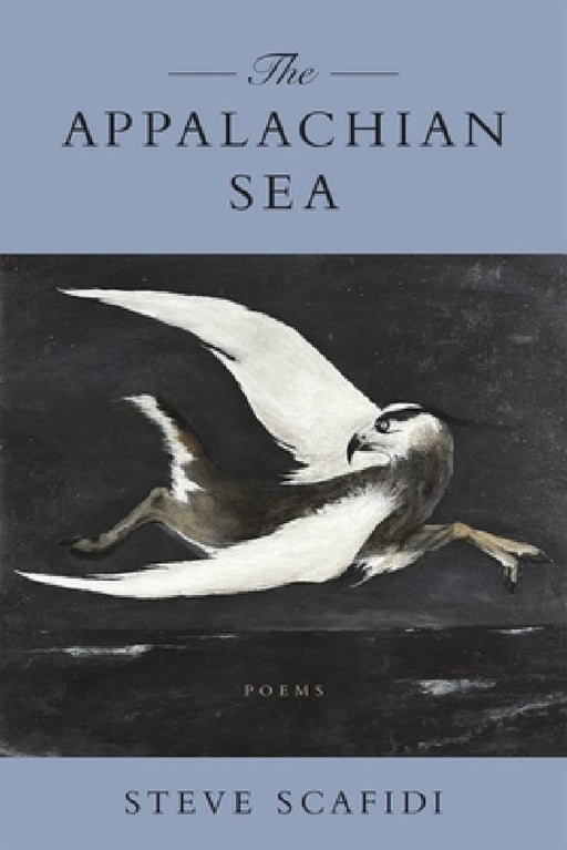 The Appalachian Sea: Poems by Steve Scafidi
