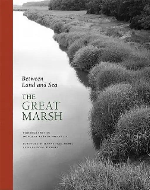 Between Land and Sea: The Great Marsh by Doug Stewart, Jeanne Falk Adams, Dorothy Kerper Monnelly
