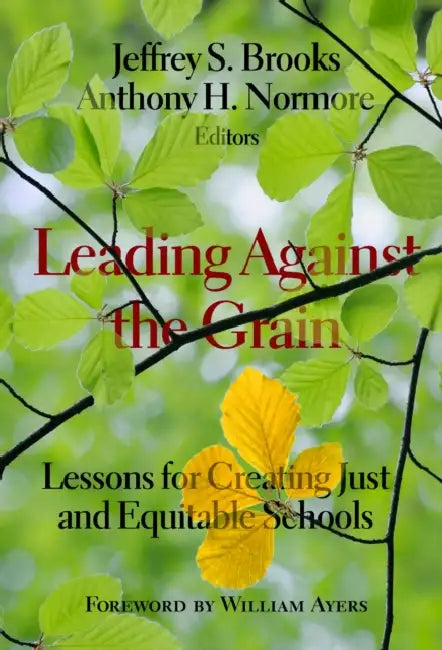 Leading Against the Grain: Lessons for Creating Just and Equitable Schools by Jeffrey S. Brooks, Anthony H. Normore, William Ayers
