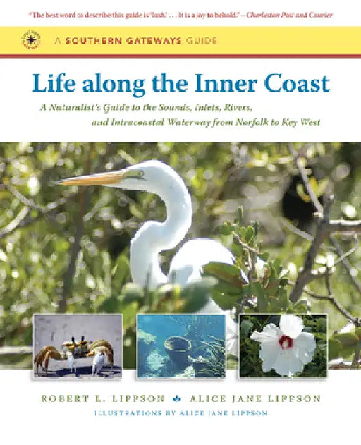 Life Along the Inner Coast: A Naturalist's Guide to the Sounds, Inlets, Rivers, and Intracoastal Waterway from Norfolk to Key West by Robert L. Lippson, Alice Jane Lippson, Alice Jane Lippson