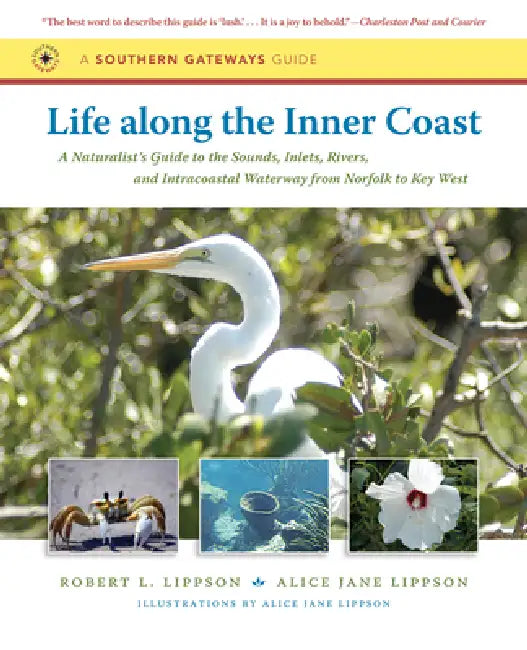 Life Along the Inner Coast: A Naturalist's Guide to the Sounds, Inlets, Rivers, and Intracoastal Waterway from Norfolk to Key West by Robert L. Lippson, Alice Jane Lippson, Alice Jane Lippson