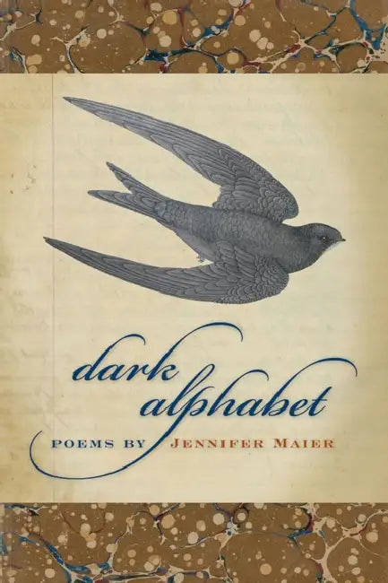 Dark Alphabet by Jennifer Maier