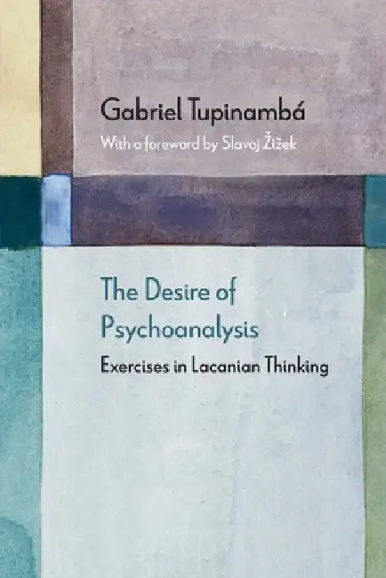 The Desire of Psychoanalysis: Exercises in Lacanian Thinking by Gabriel Tupinambá, Slavoj Zizek