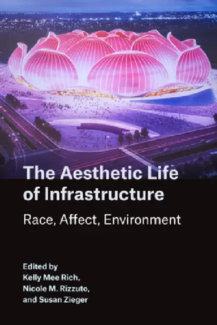 The Aesthetic Life of Infrastructure: Race, Affect, Environment by Kelly M. Rich, Susan Zieger, Nicole M. Rizzuto
