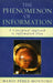 Phenomenon of Information: A Conceptual Approach to Information Flow by Mario Pérez-Montoro, Dick Edelstein