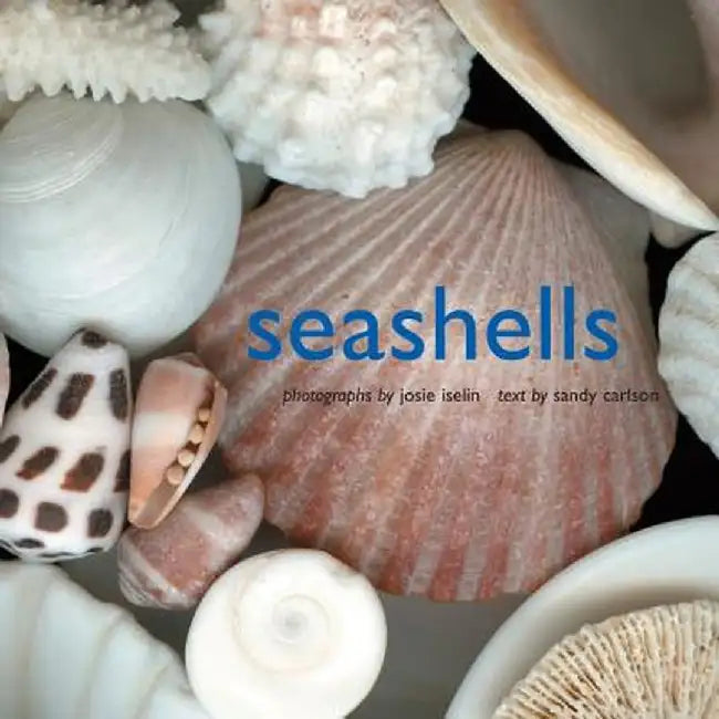 Seashells by Josie Iselin