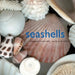Seashells by Josie Iselin