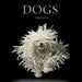 Dogs by Lewis Blackwell