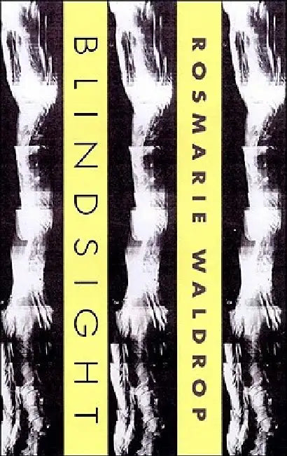 Blindsight by Rosmarie Waldrop