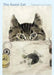 The Guest Cat by Takashi Hiraide