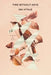 Time Without Keys: Selected Poems by Sarah Pollack