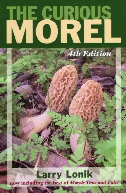 Curious Morel by Larry Lonik