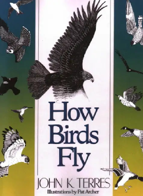 How Birds Fly by John K. Terres