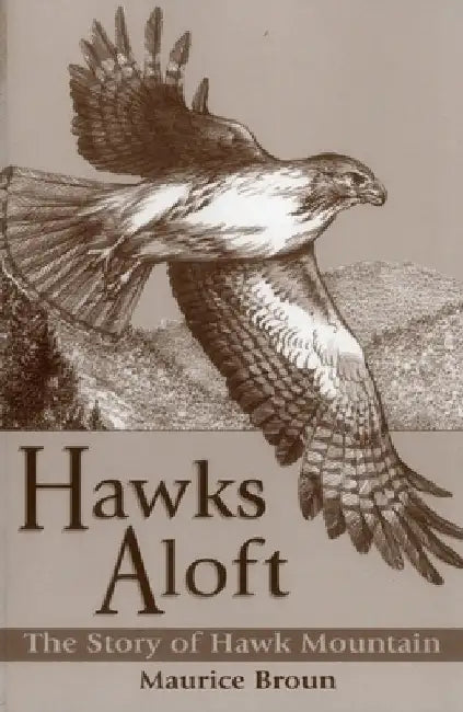 Hawks Aloft by Broun, Maurice