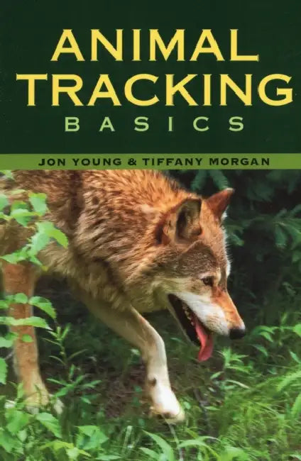 Animal Tracking Basics by Tiffany Morgan, Jon Young
