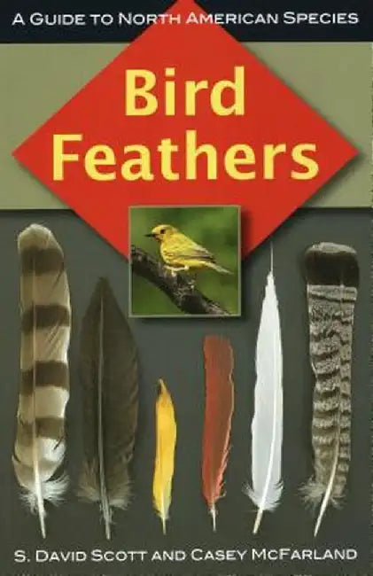 Bird Feathers: A Guide to North American Species by S. David Scott