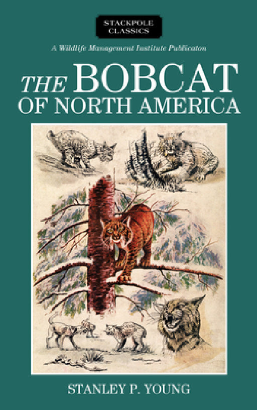 Bobcat of North America by Stanley P. Young