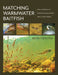 Matching Warmwater Baitfish: Patterns and Techniques for Smallmouth and Largemouth Bass, Muskie, and Other Predators by Kevin Feenstra