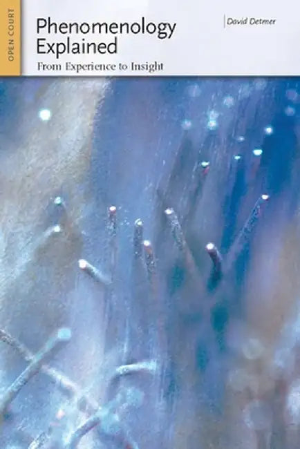 Phenomenology Explained: From Experience to Insight by David Detmer