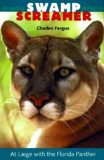 Swamp Screamer: At Large with the Florida Panther by Charles Fergus