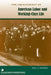 The Archaeology of American Labor and Working-Class Life by Paul a. Shackel