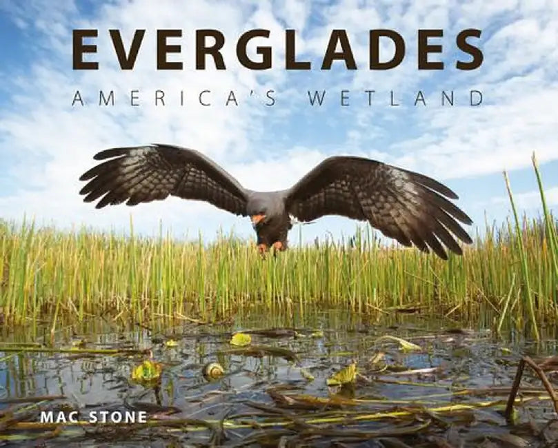 Everglades: America's Wetland by Mac Stone