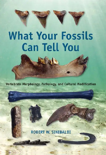 What Your Fossils Can Tell You: Vertebrate Morphology, Pathology, and Cultural Modification by Robert W. Sinibaldi