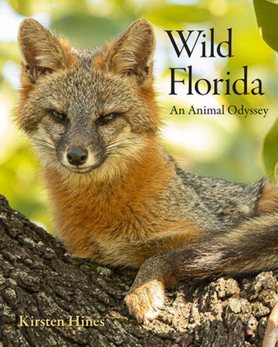 Wild Florida: An Animal Odyssey by Kirsten Hines
