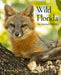 Wild Florida: An Animal Odyssey by Kirsten Hines