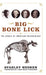 Big Bone Lick: The Cradle of American Paleontology by Stanley Hedeen, John Mack Faragher