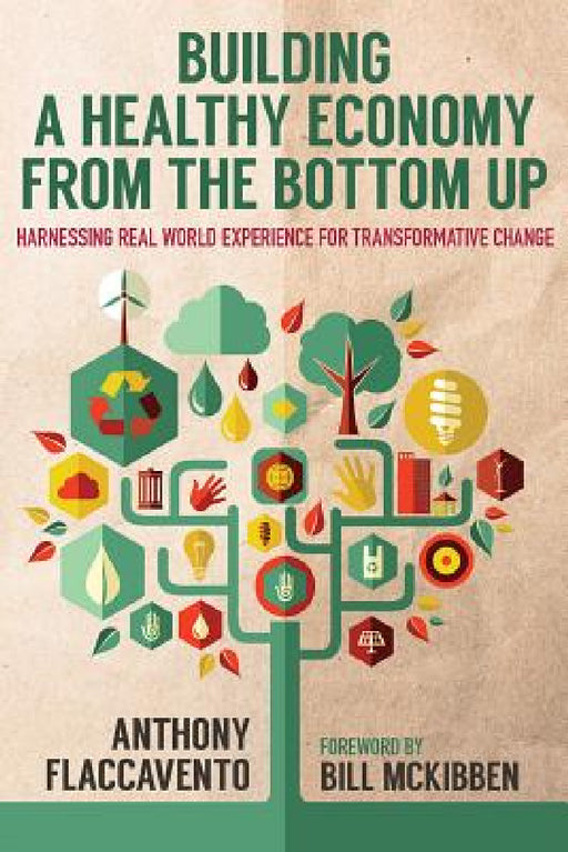 Building a Healthy Economy from the Bottom Up: Harnessing Real-World Experience for Transformative Change by Anthony Flaccavento, Bill McKibben