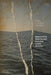 Wonderful Wasteland and Other Natural Disasters: Poems by Elidio La Torre Lagares