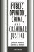 Public Opinion, Crime, and Criminal Justice by Julian Roberts