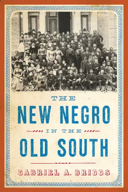 The New Negro in the Old South by Gabriel a. Briggs